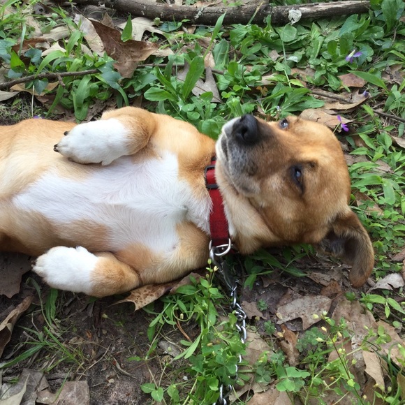 Meet your Posher, Valeria - Picture 1 of 1